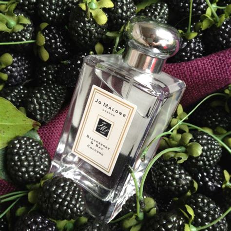 Similar Perfumes to Jo Malone Blackberry & Bay 